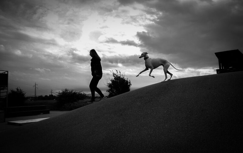 Frau mit Hund Webfoto-Oberland