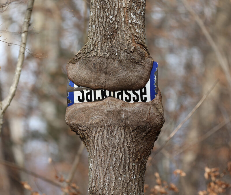 Eingewachsenes Schild im Baum Webfoto-Oberland