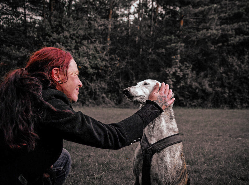 My Love Hunde-Foto-Shooting Wolfratshausen Webfoto-Oberland