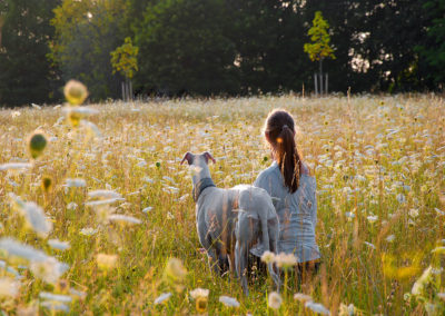 Frühlingswiesen Hunde-Foto-Shooting Penzberg Webfoto-Oberland