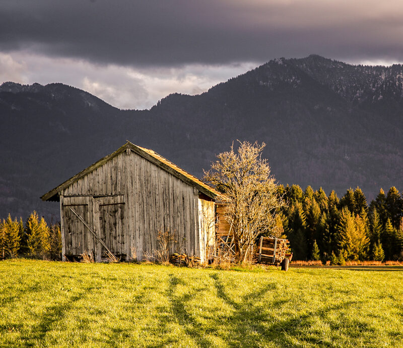 Schuppen auf Wiese im Oberland